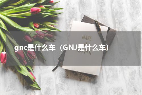 gnc是什么车（GNJ是什么车）
