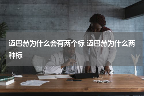 迈巴赫为什么会有两个标 迈巴赫为什么两种标