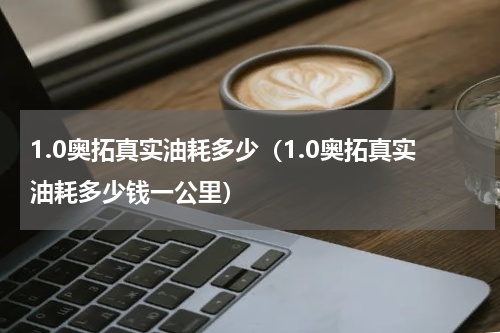 1.0奥拓真实油耗多少（1.0奥拓真实油耗多少钱一公里）