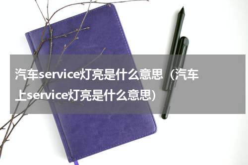 汽车service灯亮是什么意思（汽车上service灯亮是什么意思）