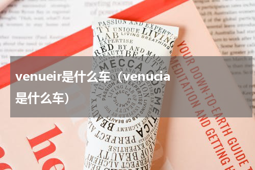 venueir是什么车（venucia是什么车）