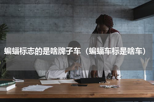 蝙蝠标志的是啥牌子车（蝙蝠车标是啥车）