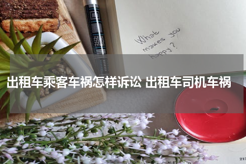 出租车乘客车祸怎样诉讼 出租车司机车祸