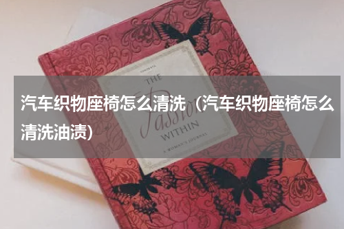 汽车织物座椅怎么清洗（汽车织物座椅怎么清洗油渍）