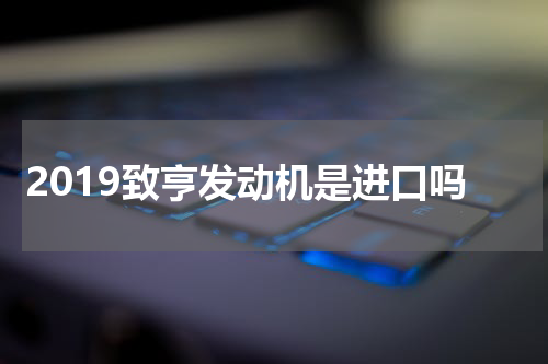 2019致亨发动机是进口吗