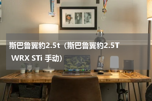 斯巴鲁翼豹2.5t（斯巴鲁翼豹2.5T WRX STi 手动）