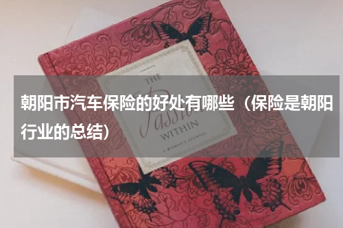 朝阳市汽车保险的好处有哪些(保险是朝阳行业的总结)