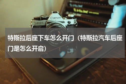 特斯拉后座下车怎么开门（特斯拉汽车后座门是怎么开启）