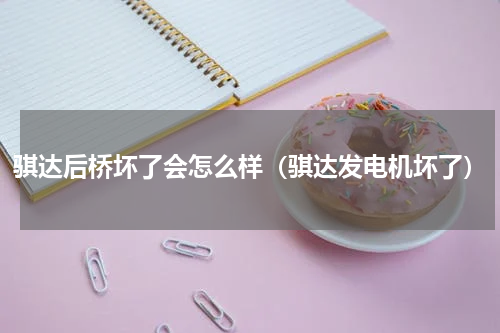 骐达后桥坏了会怎么样（骐达发电机坏了）