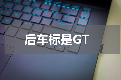后车标是GT