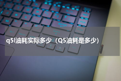 q5l油耗实际多少(Q5油耗是多少)