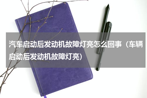 汽车启动后发动机故障灯亮怎么回事（车辆启动后发动机故障灯亮）