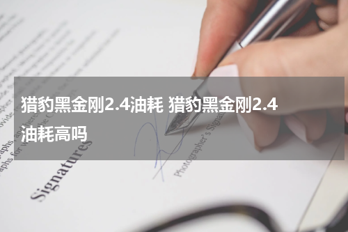 猎豹黑金刚2.4油耗 猎豹黑金刚2.4油耗高吗