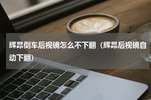 辉昂倒车后视镜怎么不下翻（辉昂后视镜自动下翻）