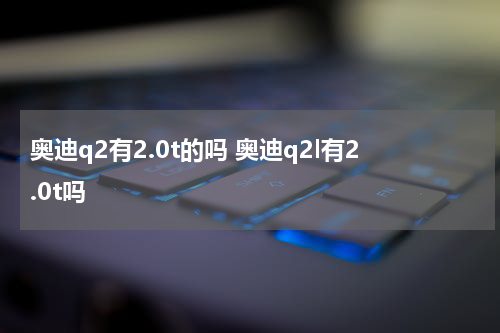 奥迪q2有2.0t的吗 奥迪q2l有2.0t吗