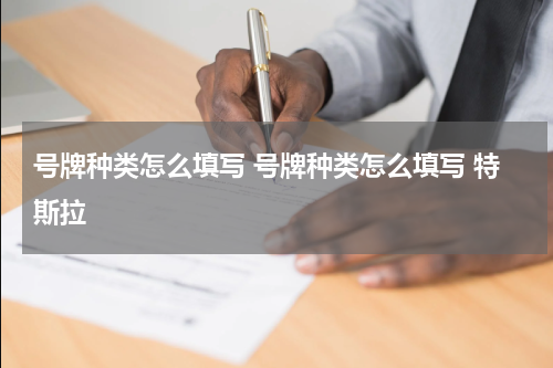 号牌种类怎么填写 号牌种类怎么填写 特斯拉