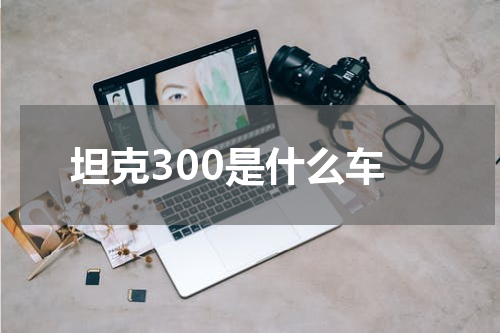 坦克300是什么车