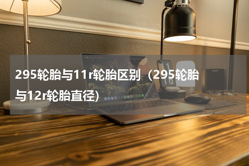 295轮胎与11r轮胎区别（295轮胎与12r轮胎直径）