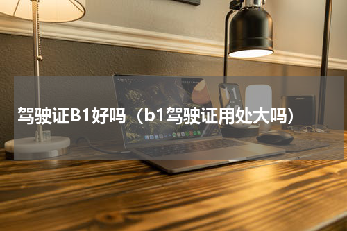 驾驶证B1好吗(b1驾驶证用处大吗)