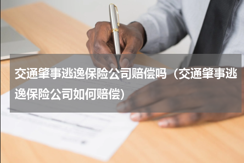 交通肇事逃逸保险公司赔偿吗（交通肇事逃逸保险公司如何赔偿）