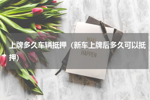 上牌多久车辆抵押（新车上牌后多久可以抵押）