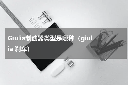 Giulia制动器类型是哪种（giulia 刹车）
