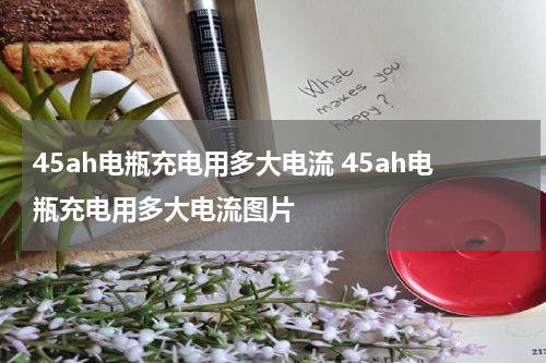 45ah电瓶充电用多大电流 45ah电瓶充电用多大电流图片