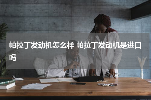 帕拉丁发动机怎么样 帕拉丁发动机是进口吗