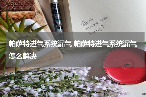 帕萨特进气系统漏气 帕萨特进气系统漏气怎么解决