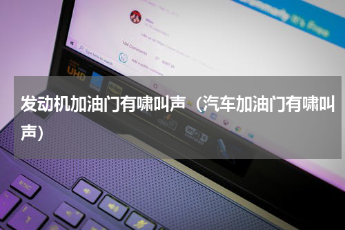 发动机加油门有啸叫声（汽车加油门有啸叫声）