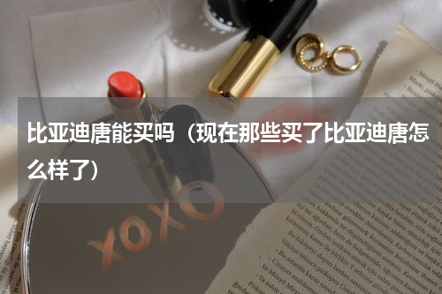 比亚迪唐能买吗（现在那些买了比亚迪唐怎么样了）