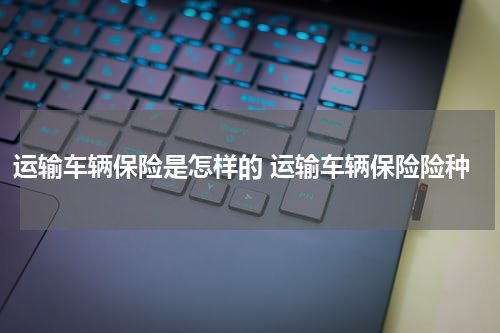 运输车辆保险是怎样的 运输车辆保险险种