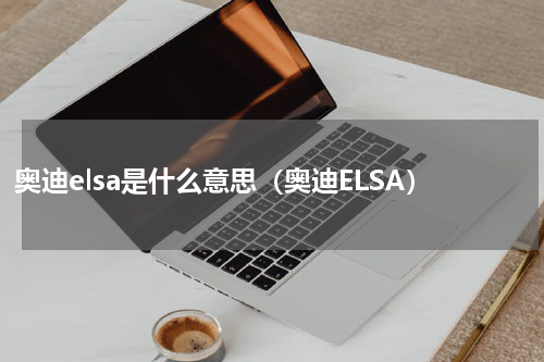 奥迪elsa是什么意思（奥迪ELSA）