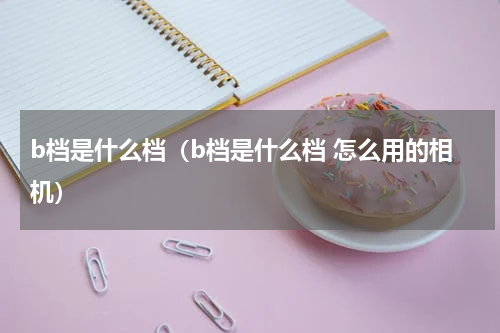 b档是什么档（b档是什么档 怎么用的相机）