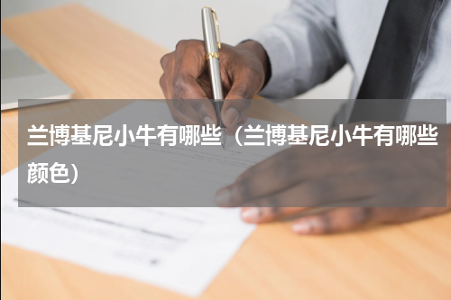 兰博基尼小牛有哪些（兰博基尼小牛有哪些颜色）