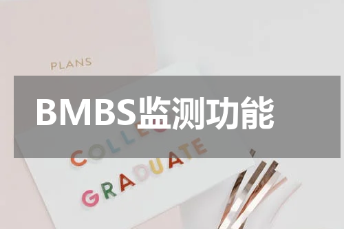 BMBS监测功能