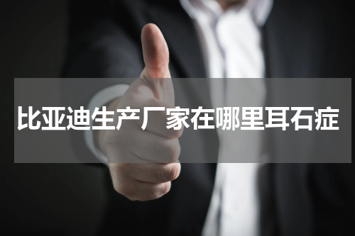比亚迪生产厂家在哪里耳石症