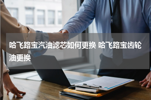 哈飞路宝汽油滤芯如何更换 哈飞路宝齿轮油更换