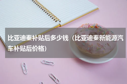 比亚迪秦补贴后多少钱(比亚迪秦新能源汽车补贴后价格)