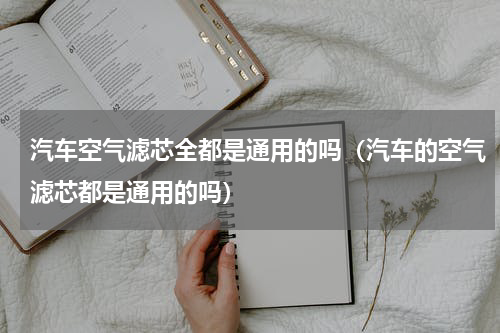 汽车空气滤芯全都是通用的吗（汽车的空气滤芯都是通用的吗）