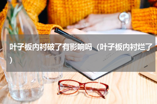 叶子板内衬破了有影响吗（叶子板内衬烂了）