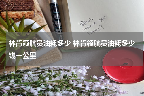 林肯领航员油耗多少 林肯领航员油耗多少钱一公里