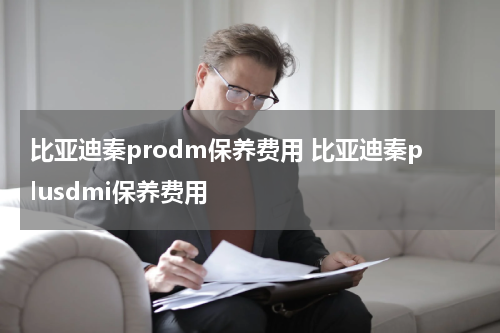 比亚迪秦prodm保养费用 比亚迪秦plusdmi保养费用