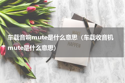 车载音响mute是什么意思（车载收音机mute是什么意思）