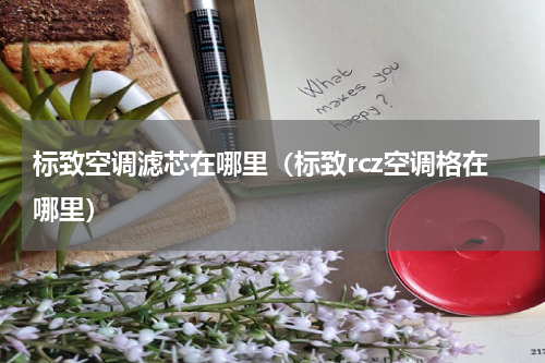 标致空调滤芯在哪里（标致rcz空调格在哪里）