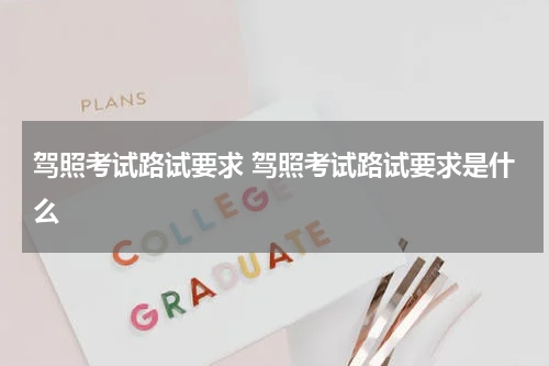 驾照考试路试要求 驾照考试路试要求是什么