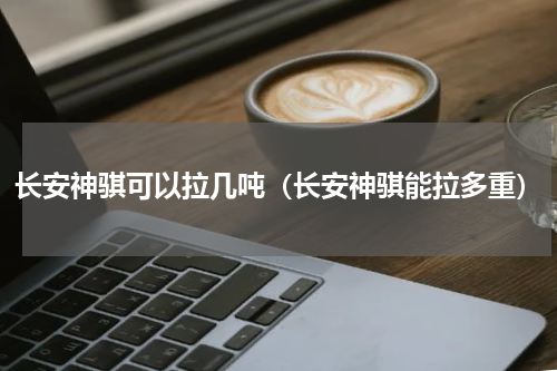 长安神骐可以拉几吨(长安神骐能拉多重)