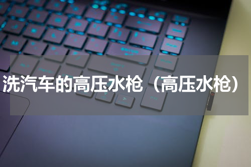 洗汽车的高压水枪（高压水枪）