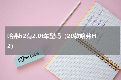 哈弗h2有2.0t车型吗（20款哈弗H2）