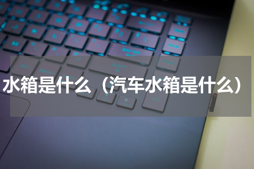 水箱是什么（汽车水箱是什么）